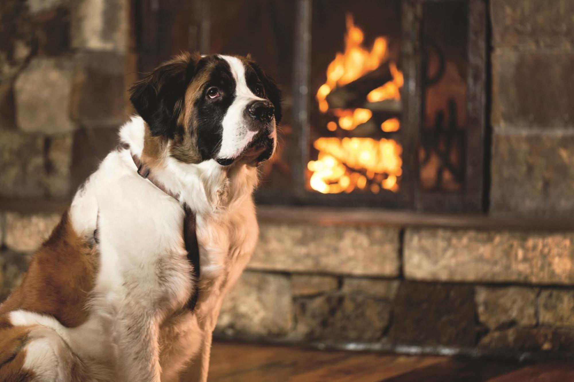 The Ritz-Carlton, Bachelor Gulch Hotel Beaver Creek Ngoại thất bức ảnh
